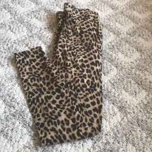 Leopard Print Leggings